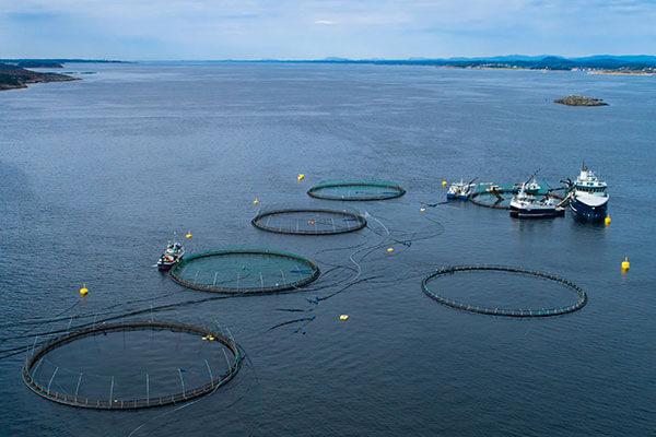 aquaculture_operators Aquaculture operators